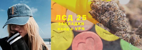 ПСИЛОЦИБИНОВЫЕ ГРИБЫ Иннополис