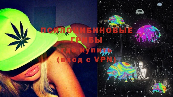 ешки Инсар