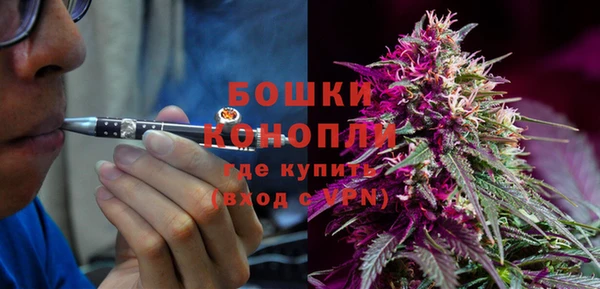 ешки Инсар