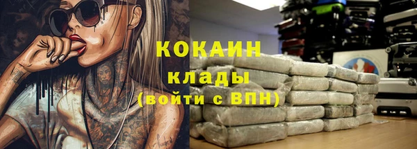 ешки Инсар